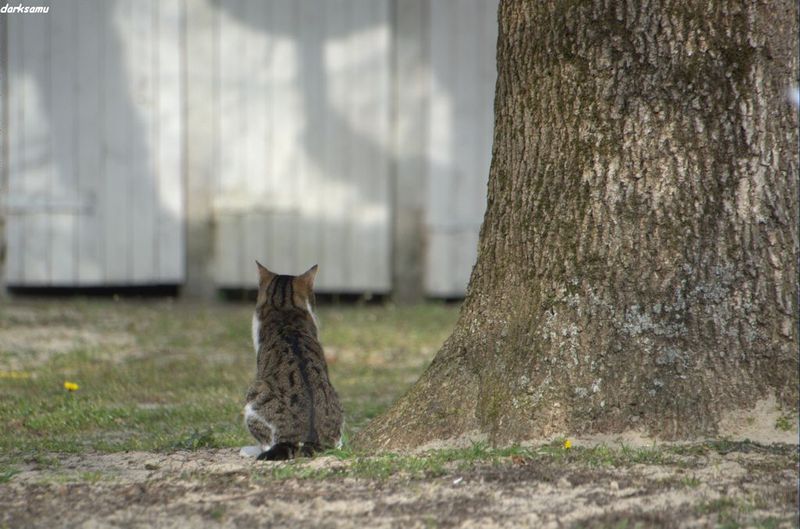 celui las c'est celui qui étais faché avec sagamor
