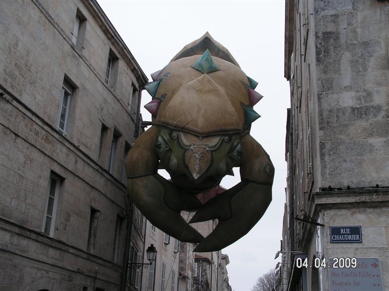 PICT0593 (Medium).JPG