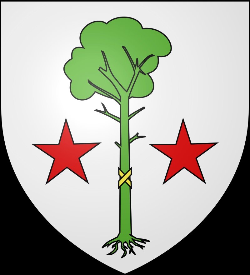 Blason Biscarrosse.jpg