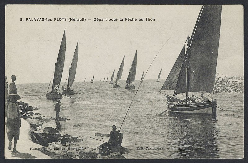 800px-Palavas_les_Flots_pêche_1913.jpg