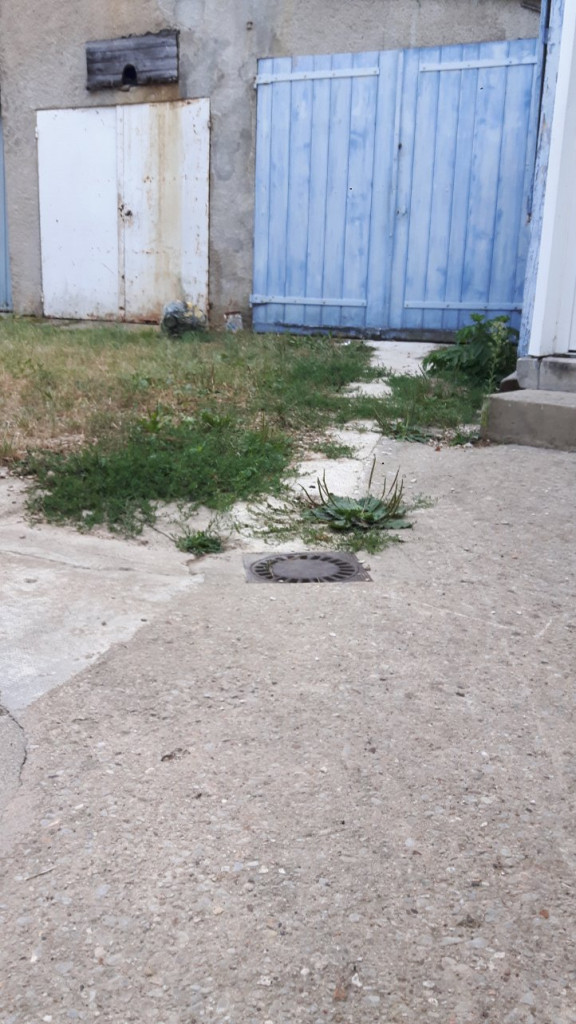 20200812_195719.jpg