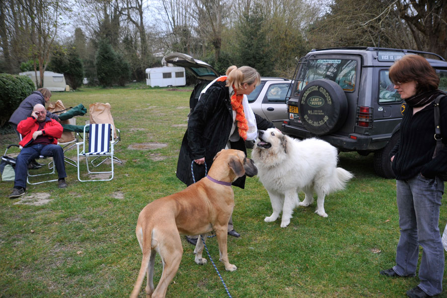 Je vous demande la patte de votre fille !