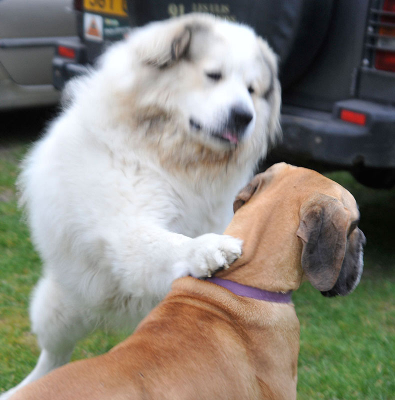 Tu sais que j''aime toi !!!
