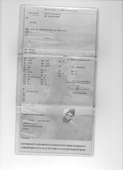 carte grise triton 001 paint.jpg