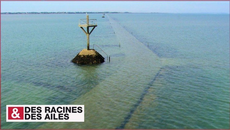 Beauvoir sur Mer le Gois.jpg