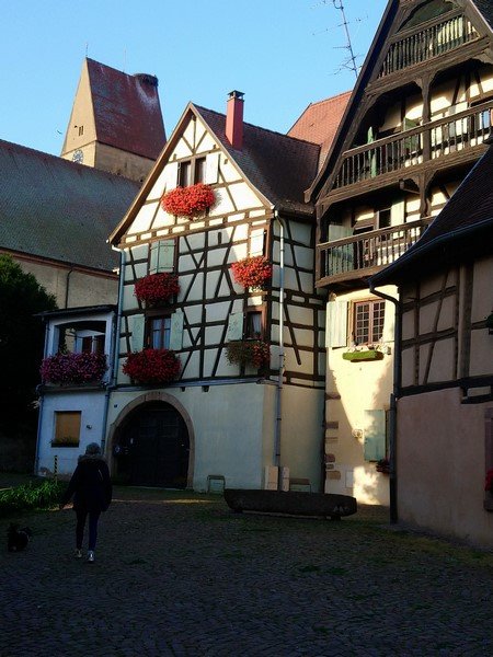 DSC_0424 (Copier).jpg