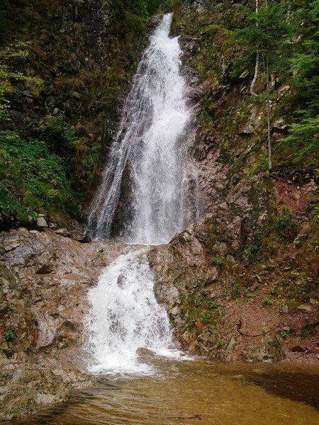 DSC_0448 (Copier).jpg