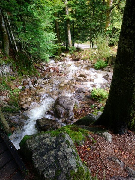 un bruit d'enfer! ! !