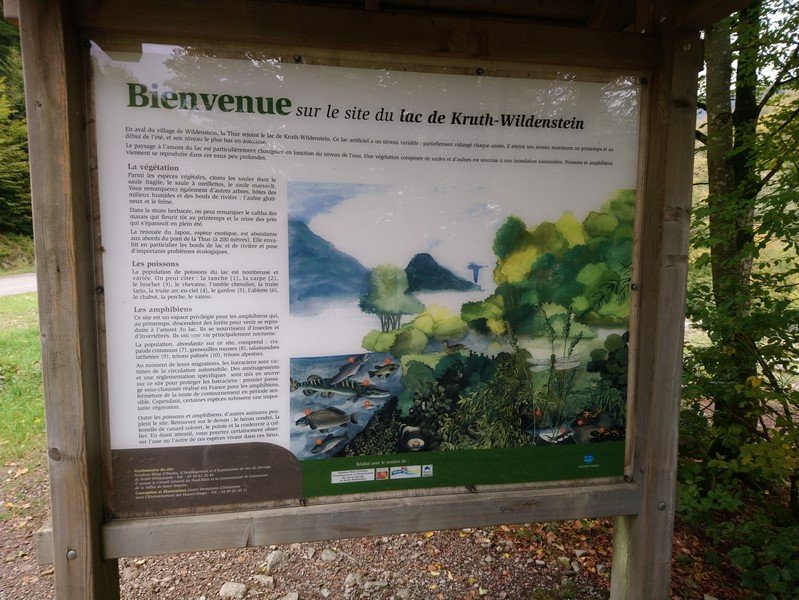 DSC_0452 (Copier).jpg