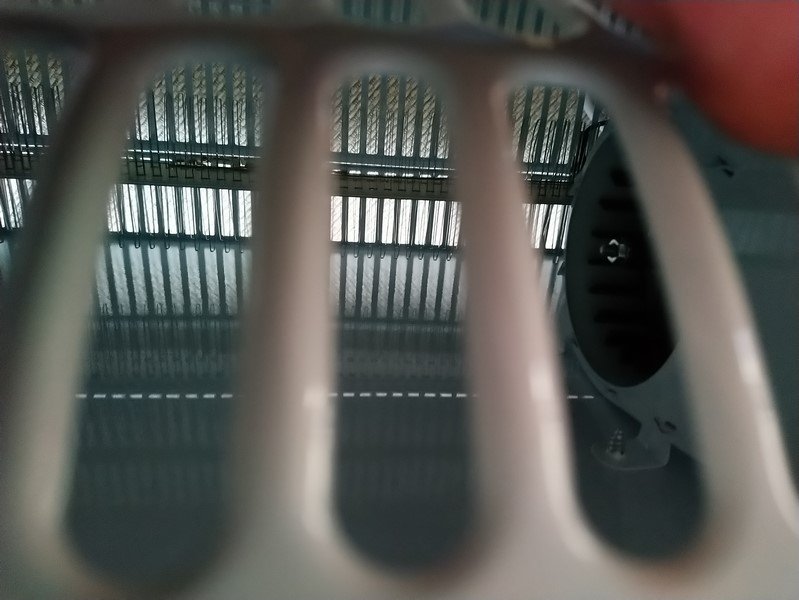 DSC_0493 (Copier).JPG