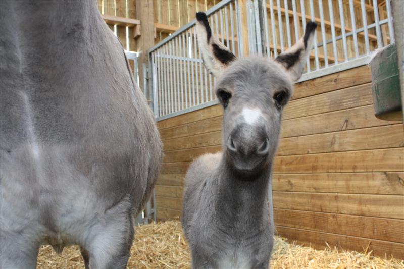 IMG_0788 (Medium).JPG