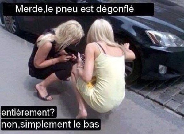 Blondes.jpg