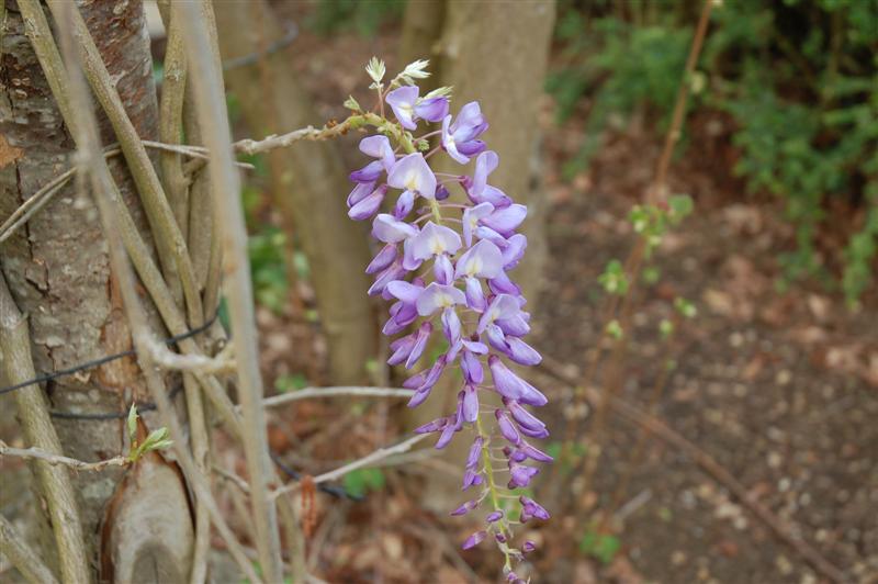 DSC_9553 (Medium).JPG