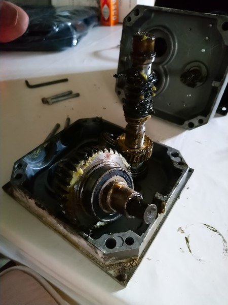 La "bête" est ouverte