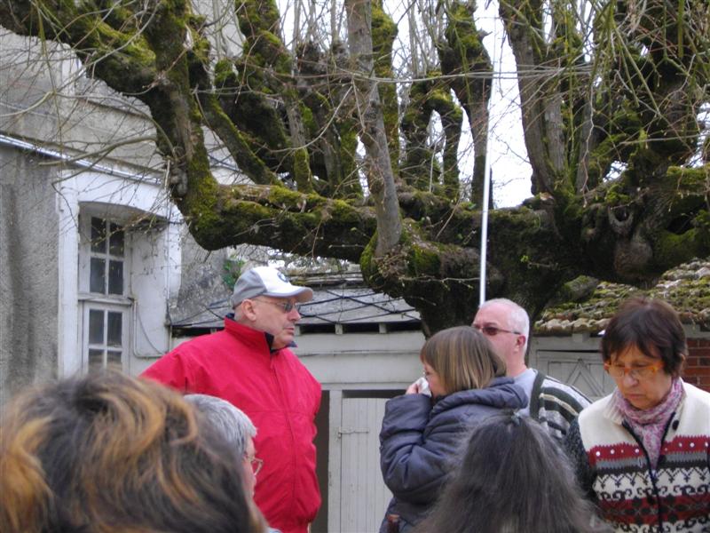 IMGP0160 (Medium).JPG