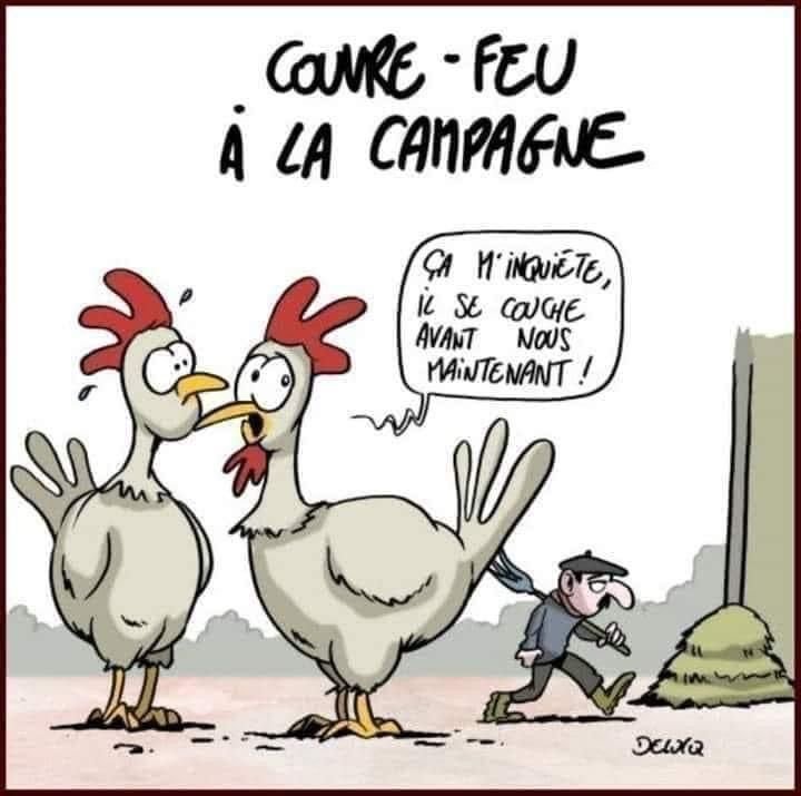 WhatsApp Image 2021-01-15 at 14.35.23.jpeg