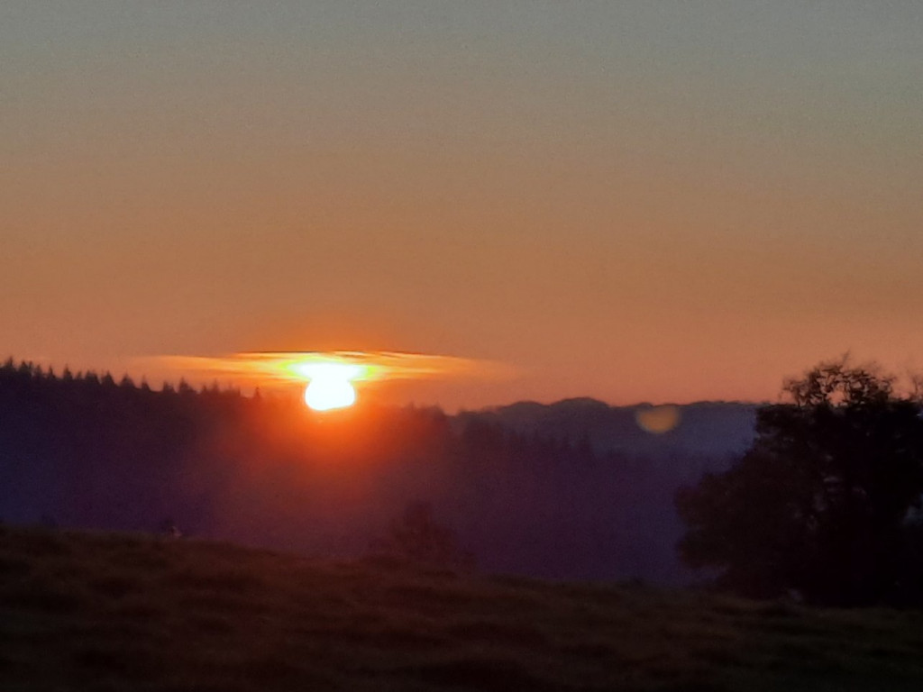 20201129_165847.jpg