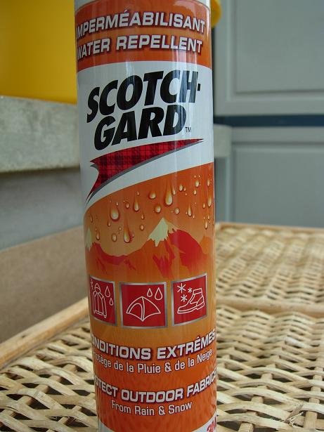 DSCN7970imper paint.JPG