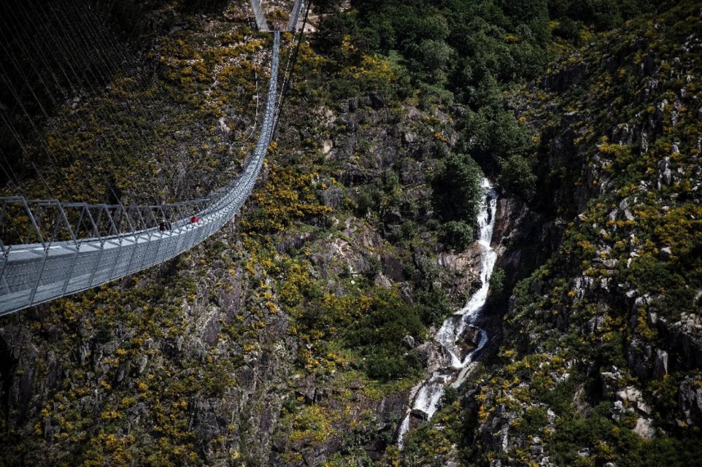 Pont Portugal2.jpg