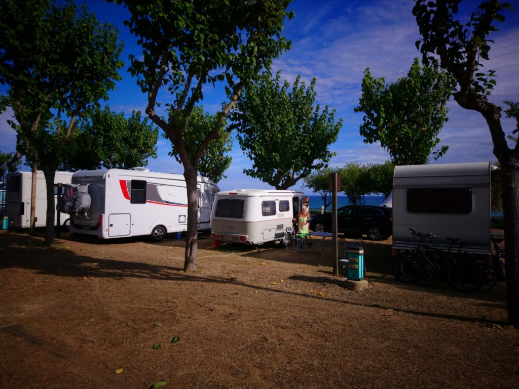 DSC_0090_1 (Copier).JPG