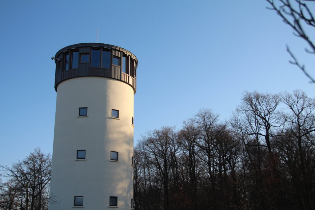 RDV2013 898.JPG