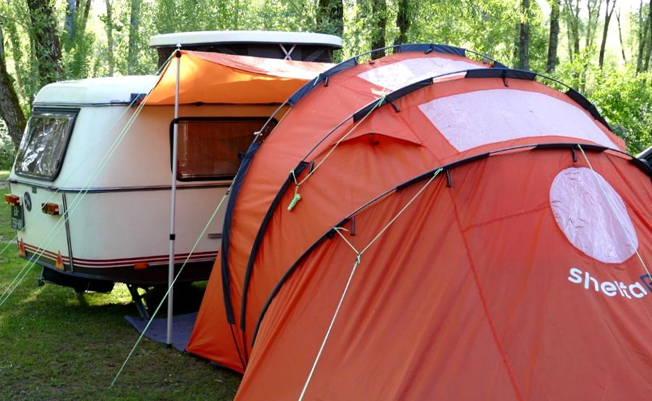 Puckinella Shelta.jpg