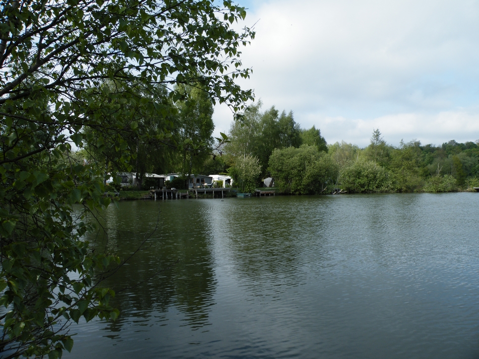 certaint ont la chance d'avoir l'emplacement au bord de l'etang
