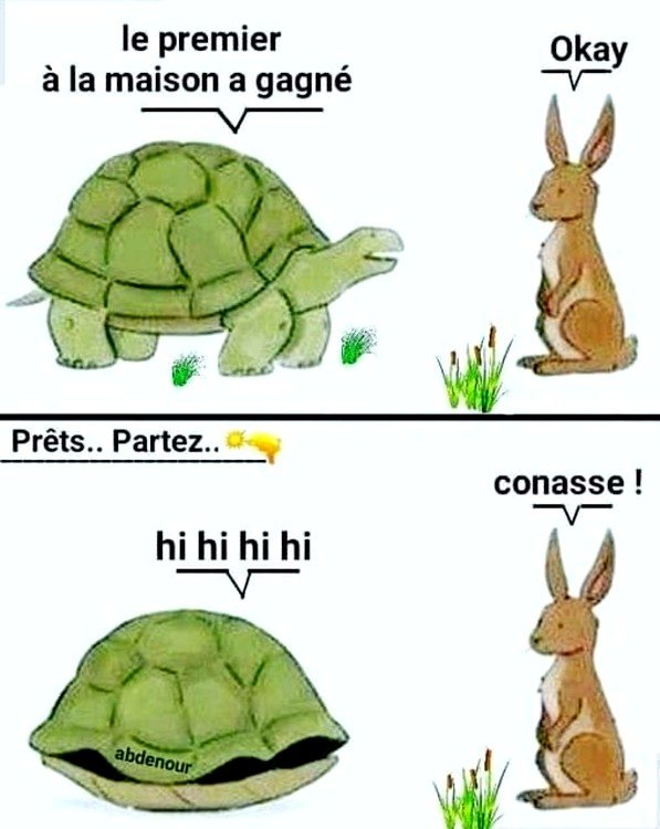 Tortue lapin.jpg