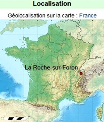 La roche sur Foron carte.jpg