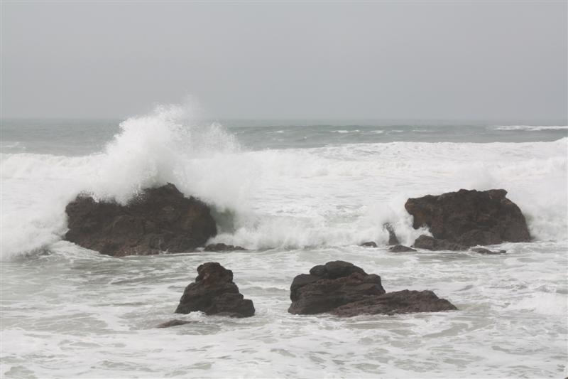 IMG_0994 (Medium).JPG