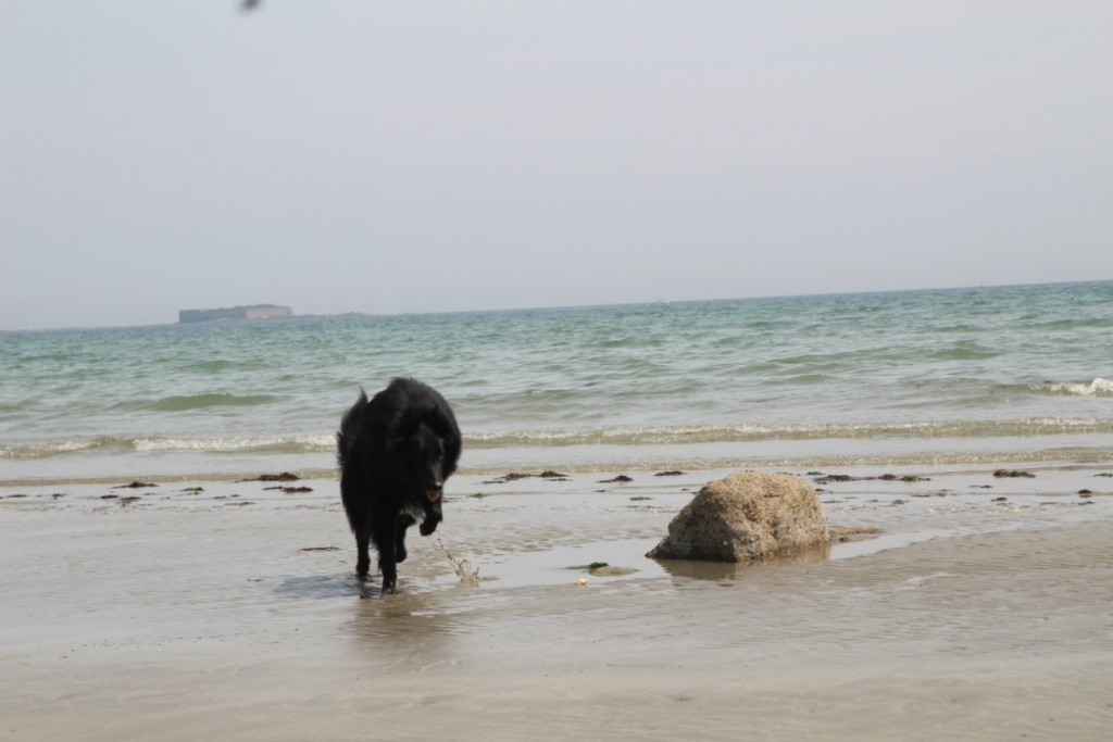 Dans l'eau.