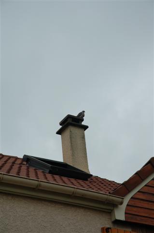 DSC_9822 (Small).JPG