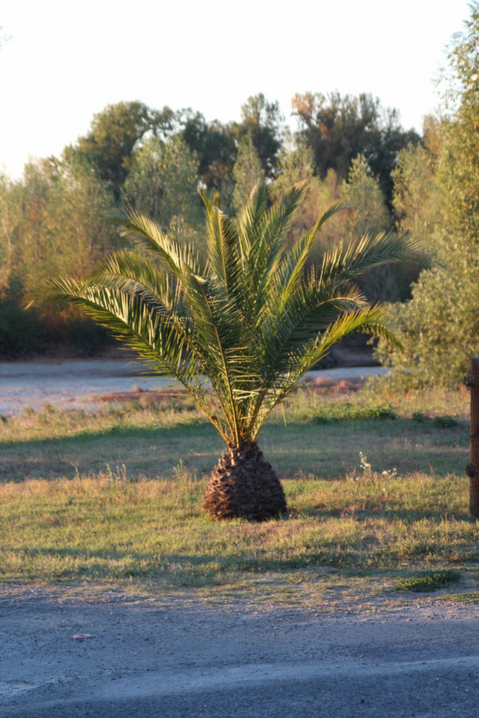 Devant le camping.