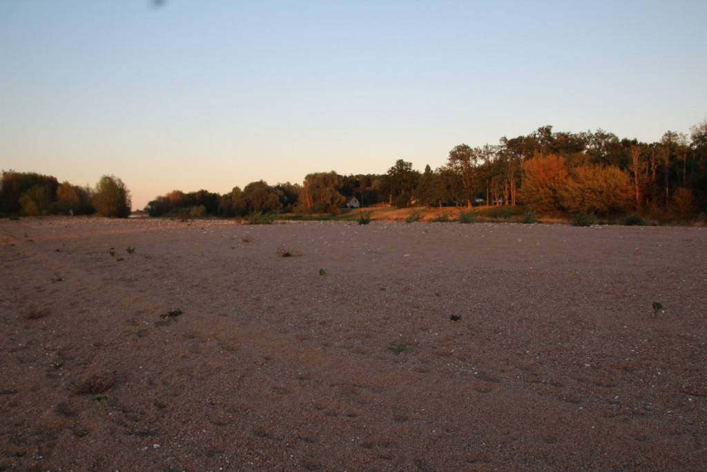 IMG_3307.JPG (180.57 Kio) Vu 2572 fois Normalement ici il y a la Loire.....et le camping est à droite des maisons.