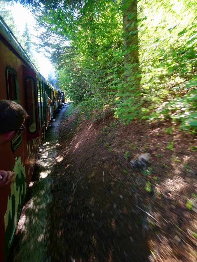 DSC_0290 (Copier).JPG