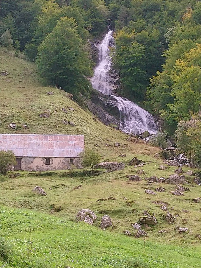 DSC_0363 (Copier).JPG