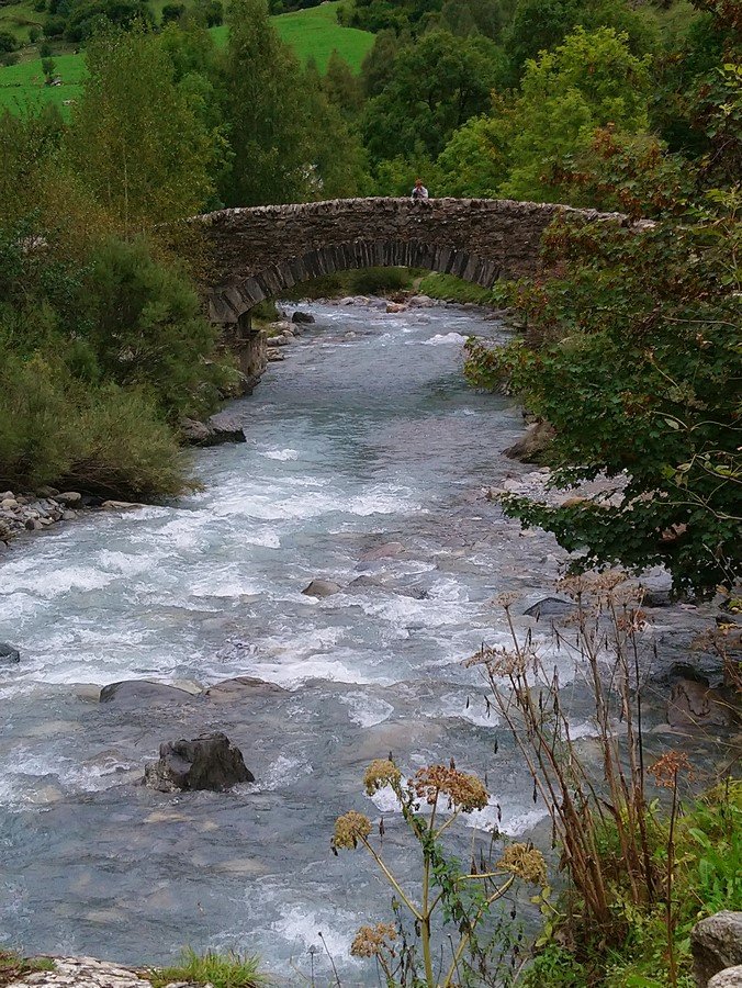 DSC_0364 (Copier).JPG