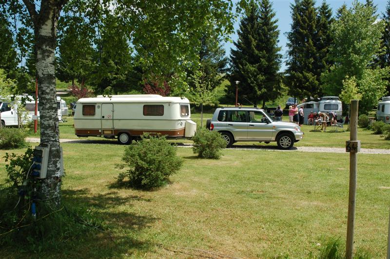 DSC_9959 (Medium).JPG