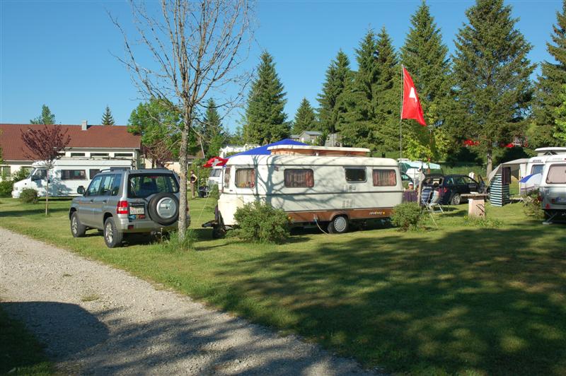 DSC_9976 (Medium).JPG