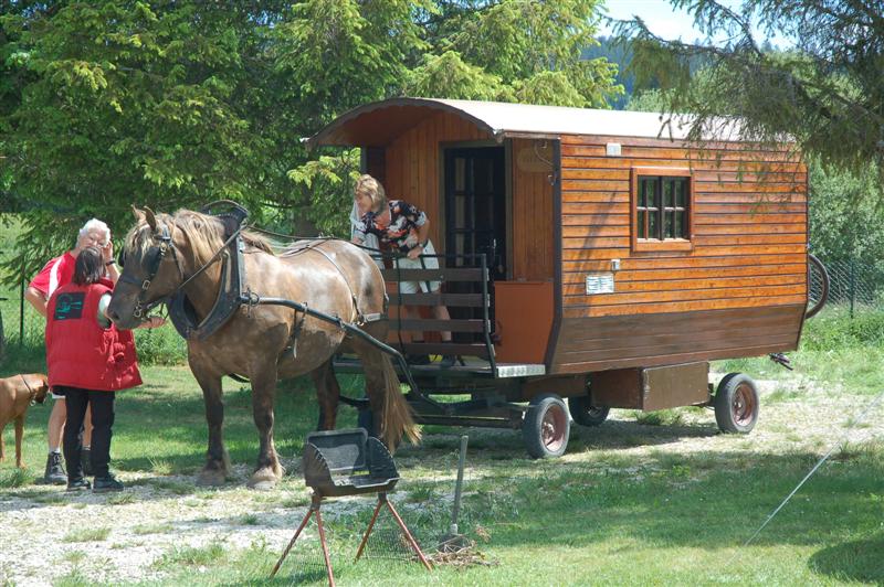 DSC_0089 (Medium).JPG