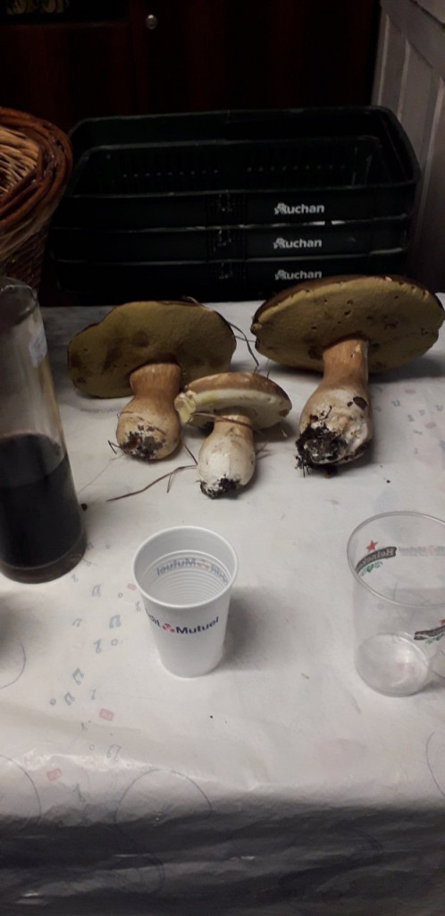 20221025_180200.jpg