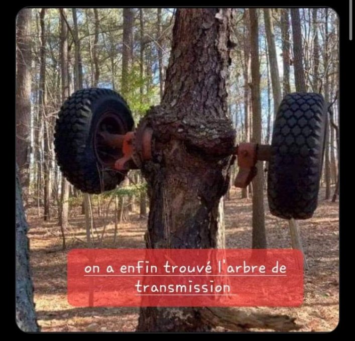 Arbre transmission.jpg