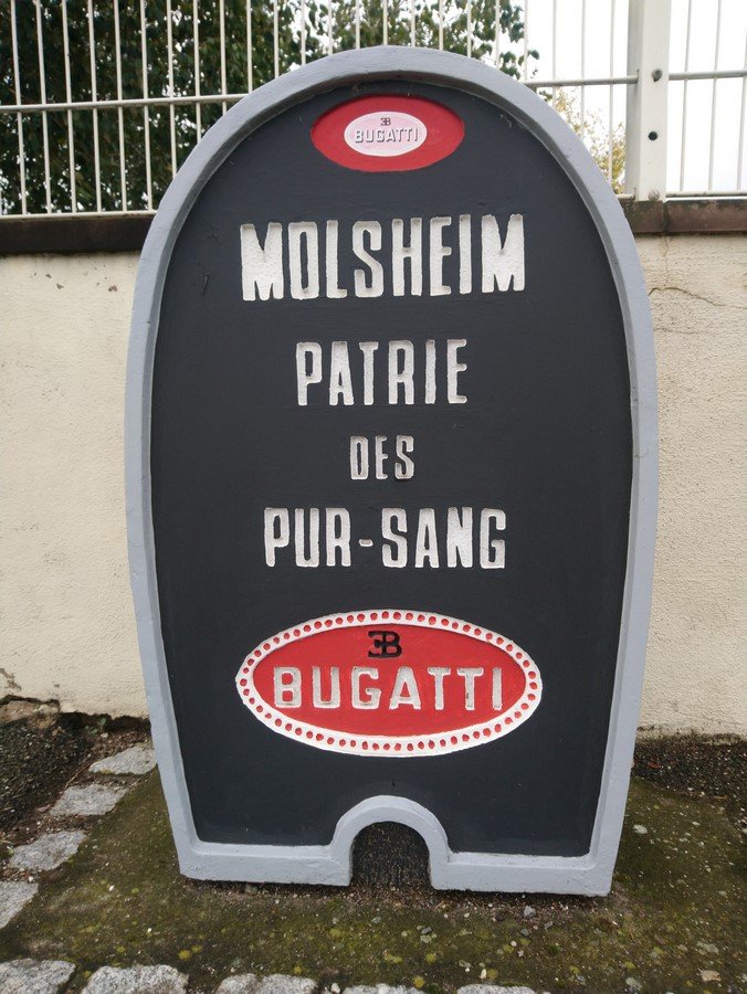 DSC_0458 (Copier).JPG