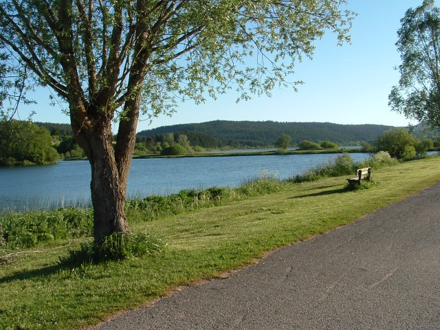 DSCF0101.jpg