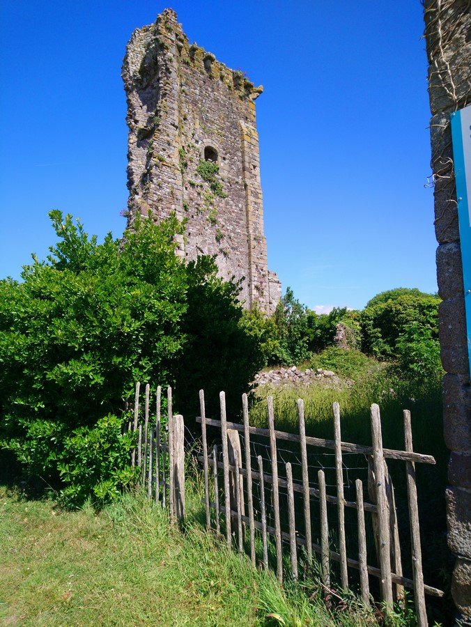 DSC_0286_2 (Copier).JPG