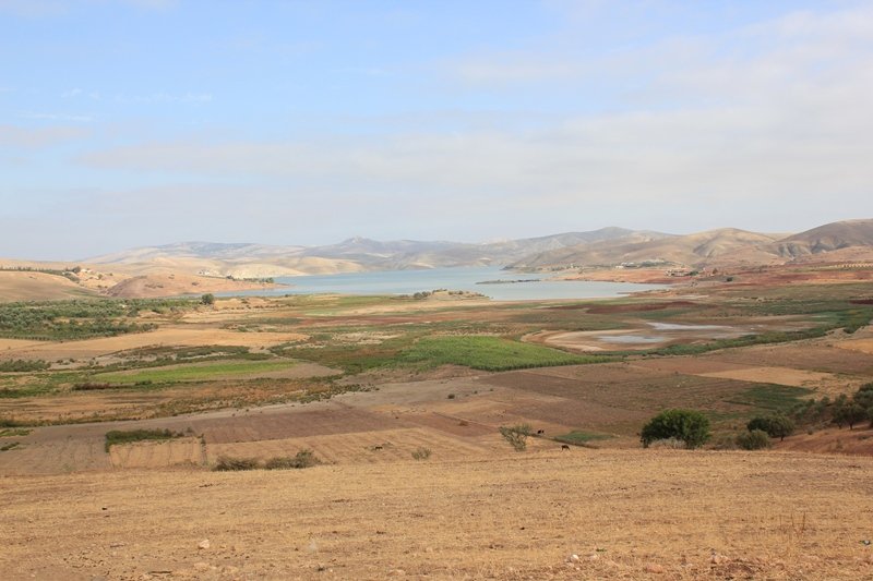 Sidi Chahed