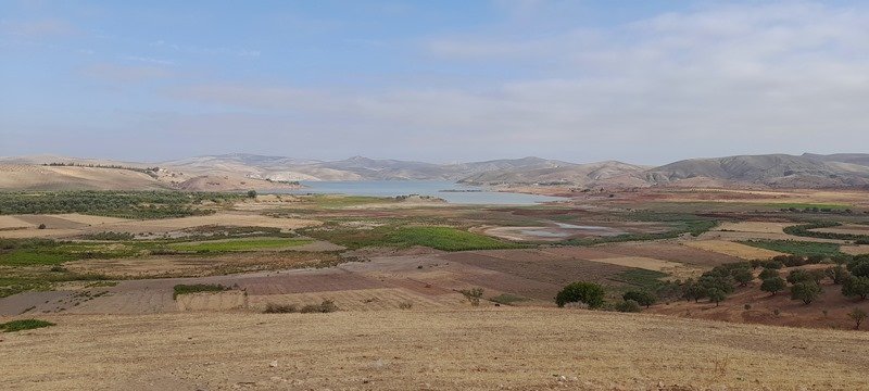 Sidi Chahed