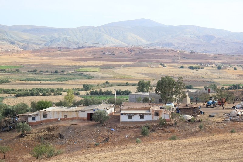 Sidi Chahed