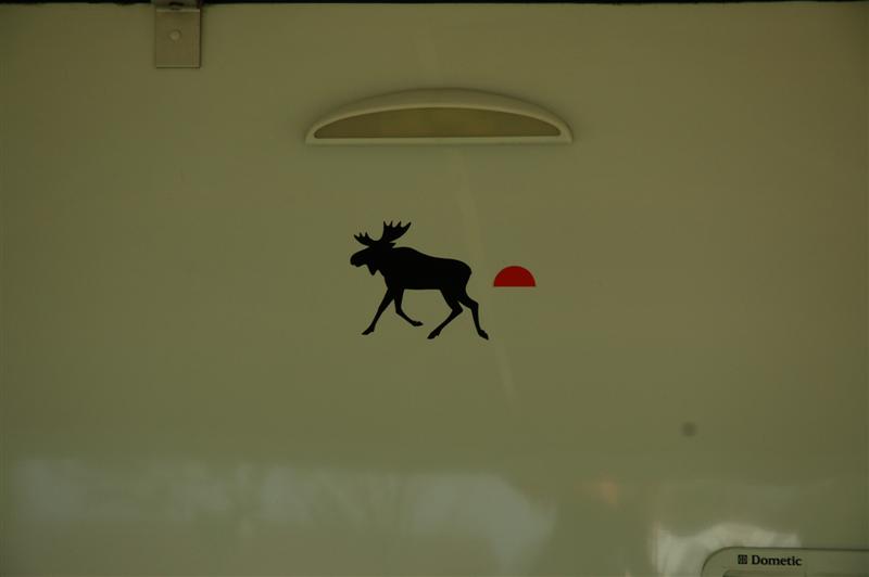 DSC_0158 (Medium).JPG