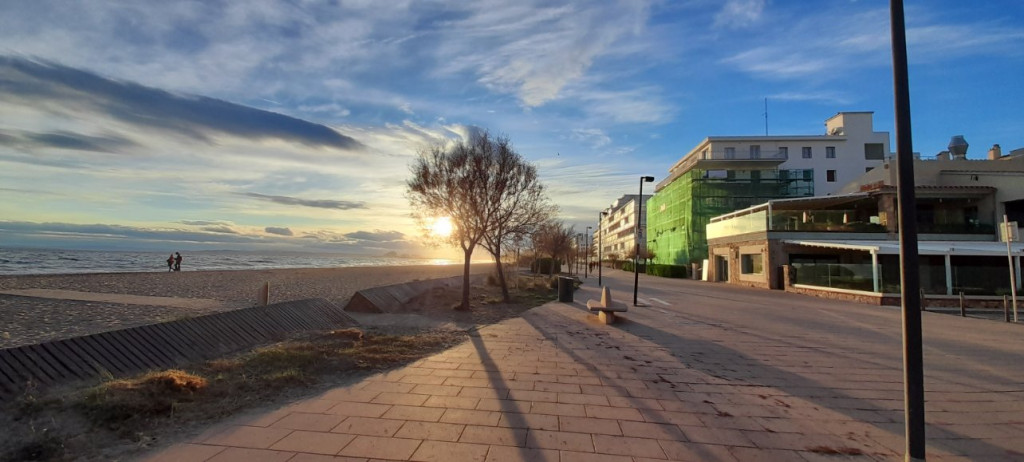 roses 8 janvier (2).jpg